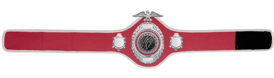 PRO288/S/WRESTGEMS - AVAILABLE IN 10 COLOURS